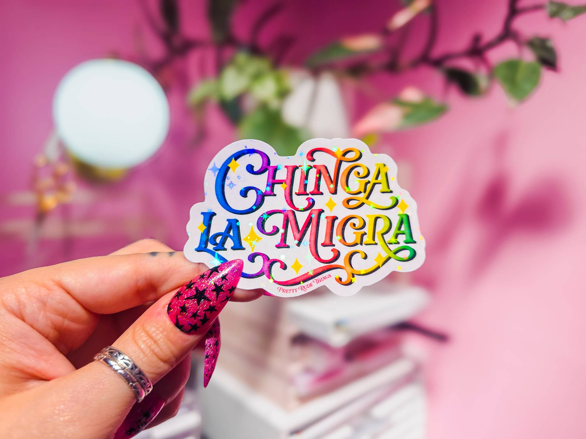 Pretty Rude Things - Wholesale Sticker - Chinga La Migra, F*ck ICE, Pro Immigration Sticker9