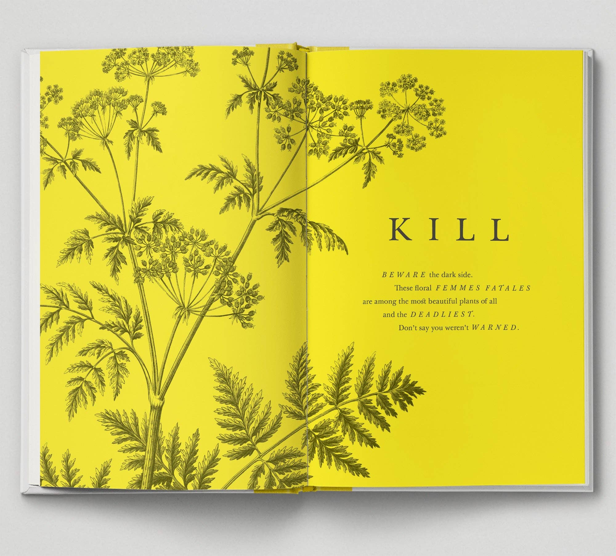 Hoxton Mini Press - Vente Livre sur la nature et les activités de plein air - The Botanical City6