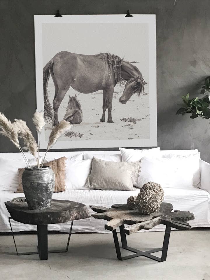 Yegua salvaje con potro para venta al por mayor de Love Warriors