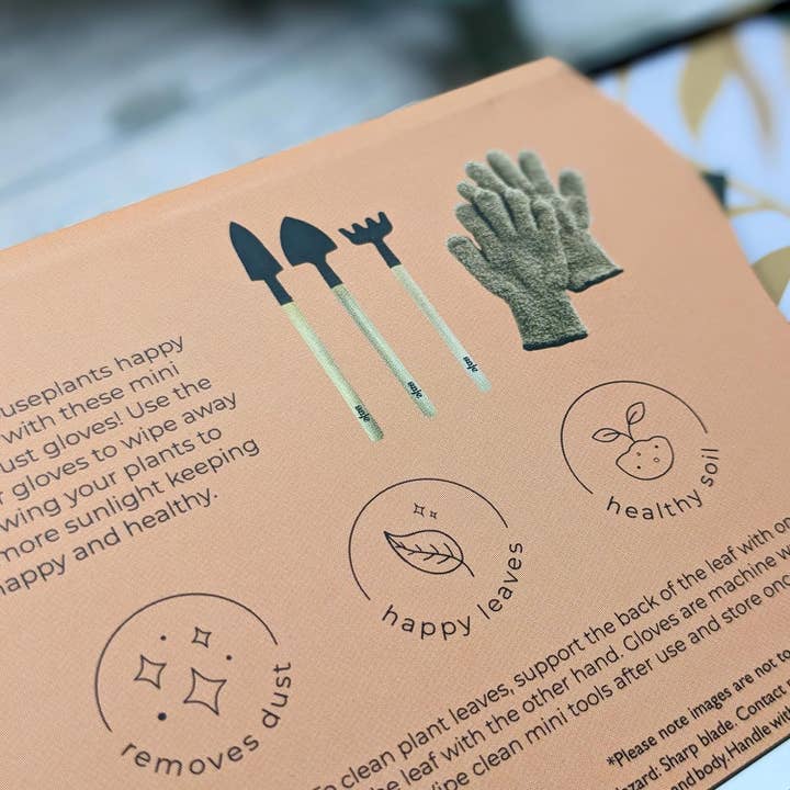 Robert Frederick Ltd – wholesale Trädgårdsverktyg – Saje Växtvårdskit - Bladdammsvantar och Miniverktyg - Håll Inomhusväxter Friska5