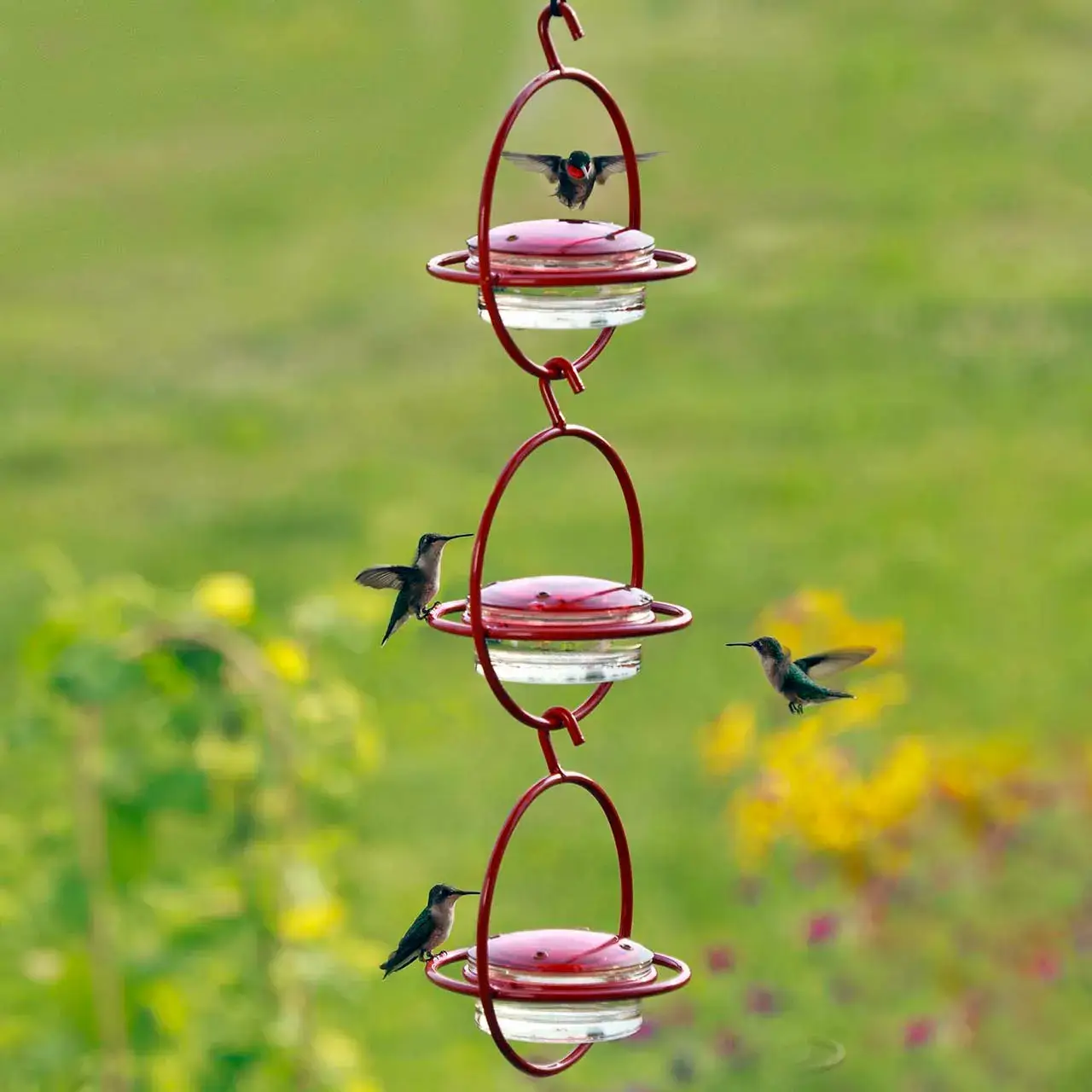 Couronne Co. - Wholesale Bird Feeder - Mosaic Birds Hummble Bold Hummingbird Feeder Red7