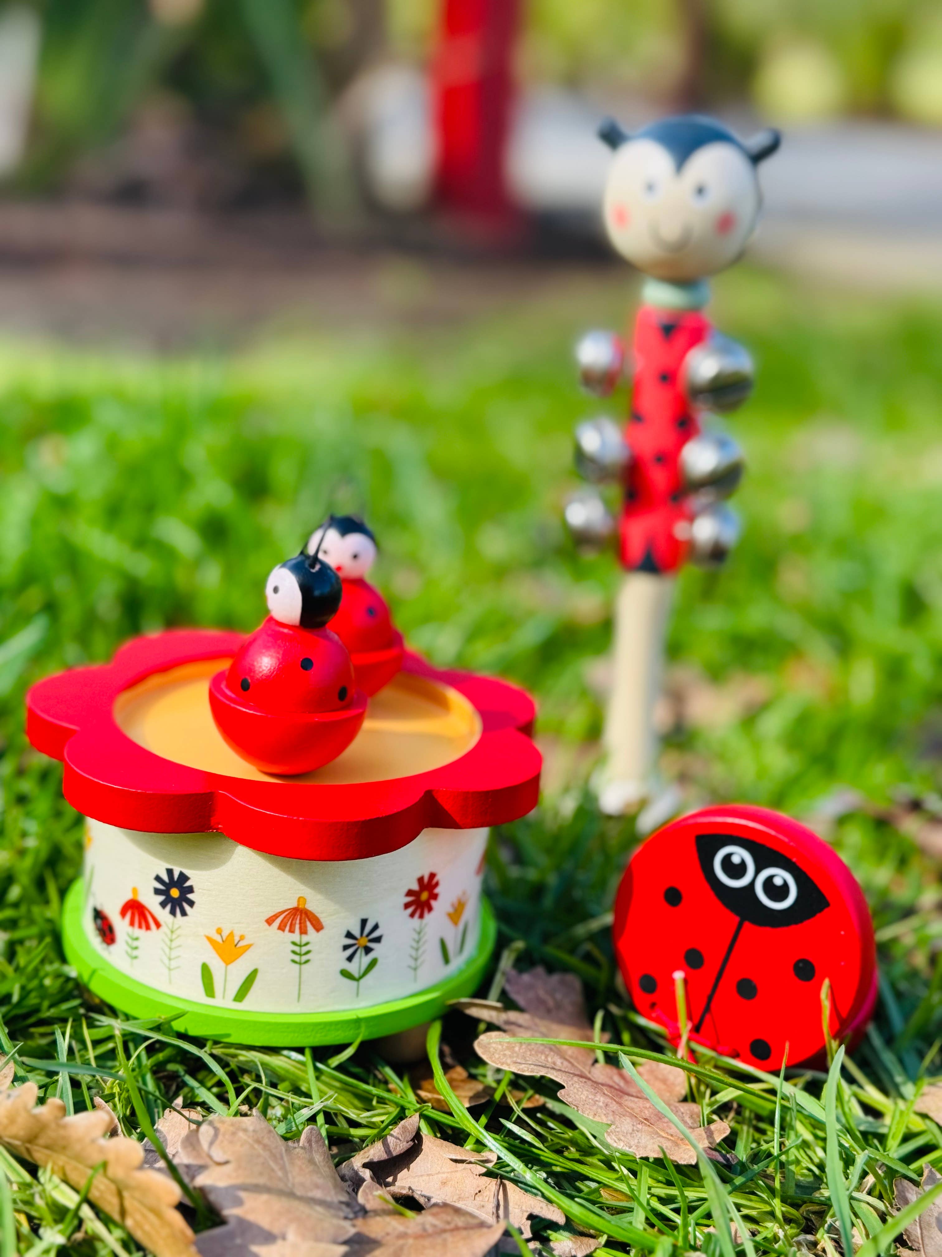 ToysLink - Wholesale Music Box - Kids & Baby - Music Box Twin Ladybug2