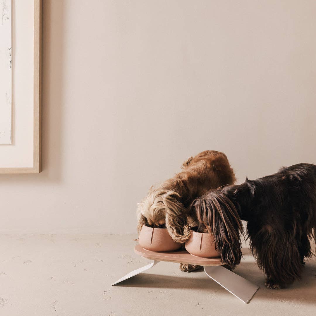 PINO - Wholesale Drinkbak - Kat/Hond - Trays voor honden51