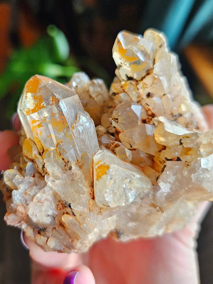 Cluster de Citrino Kundalini por atacado de Little Miss Cosmic