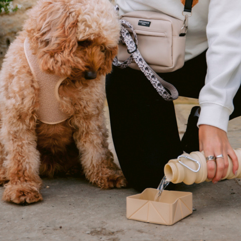 Cocopup London - Vente Gamelle – chat et chien - Gamelle de voyage pliable - Nude4