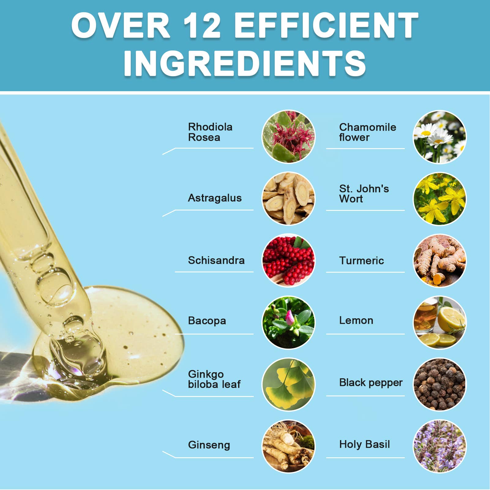 GreenPeople - Vente Supplément oral/vitamine - GREENPEOPLE (Lot de 12) Gouttes de Rhodiola Rosea Teinture 16-en-18