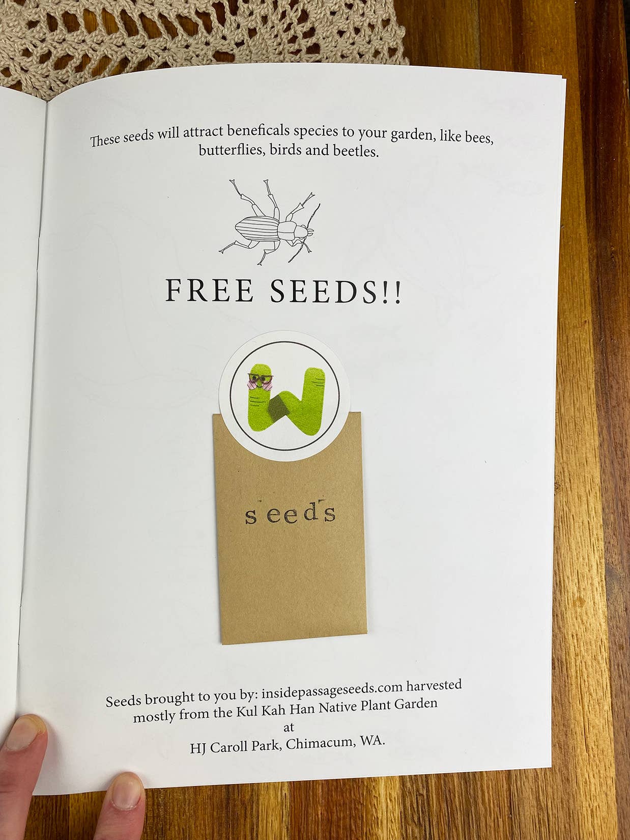 Wurm Wares - Wholesale Colouring and activity book – kids and baby - EarthWurm Coloring & Activity Book-Olympic Peninsula Edition5