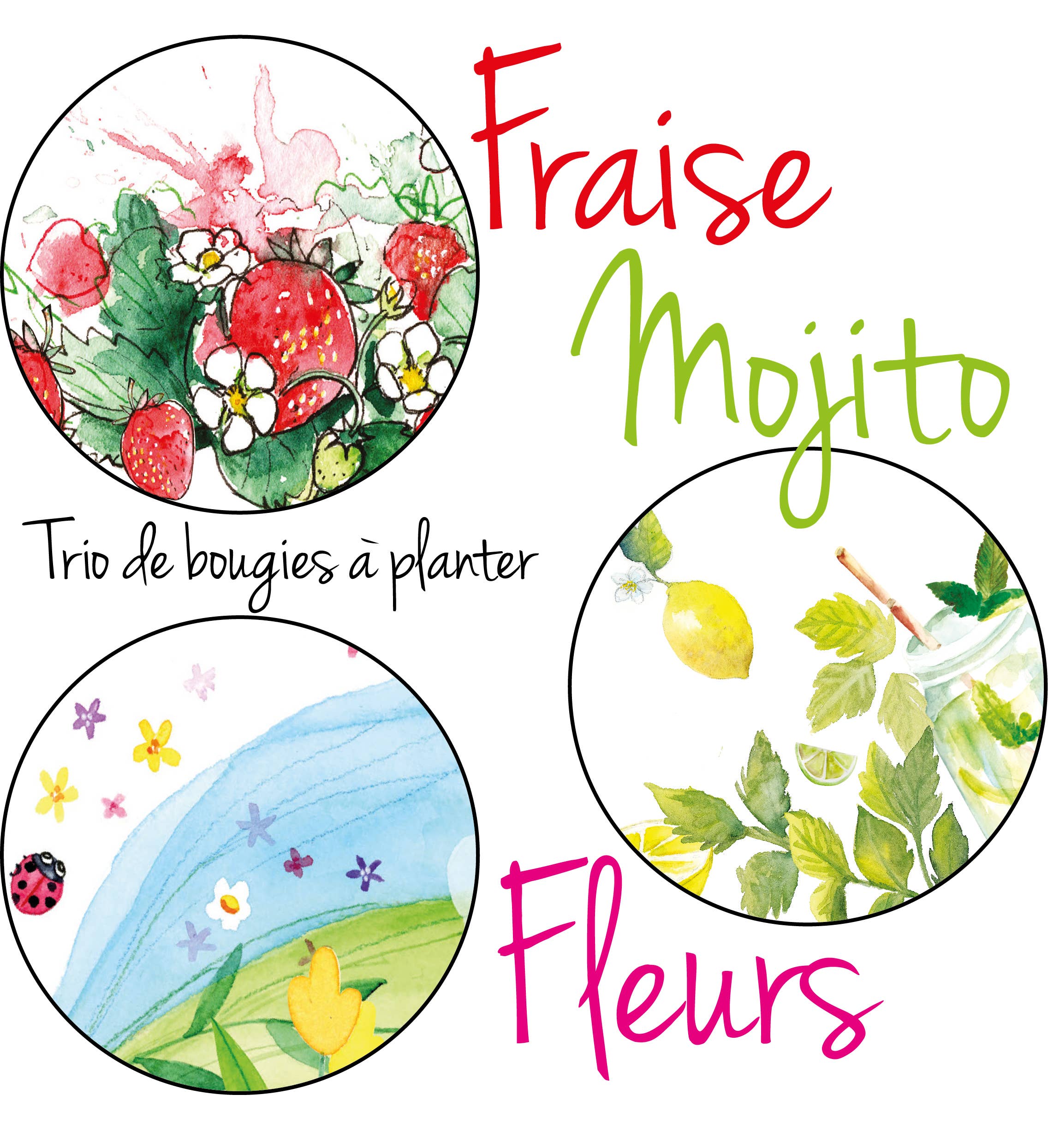 Les cartes de Lulu - Wholesale Novelty Candle - Candles to plant the cards of Lulu x Bougie d'Alsace8