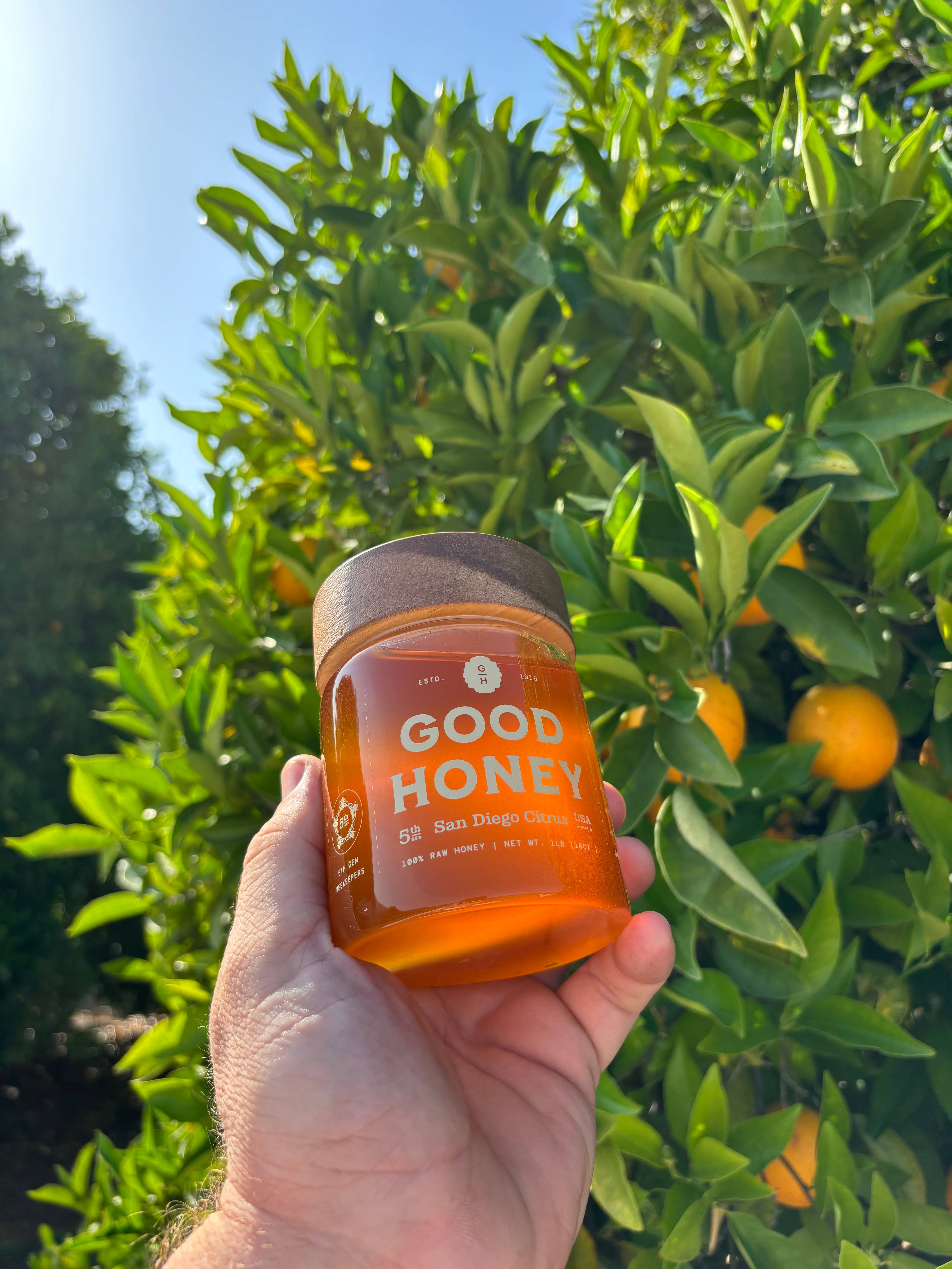 Good Honey - Wholesale Honey - 16oz San Diego Citrus Retail Jars - Case of 121