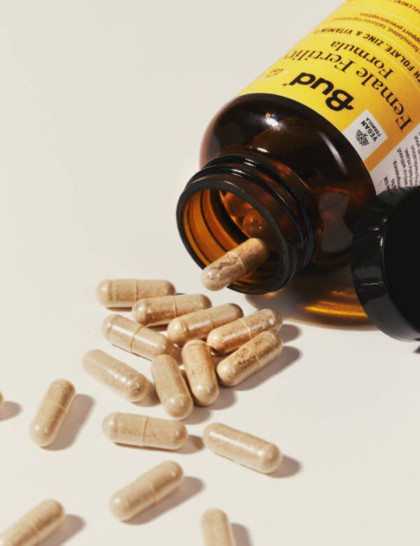 Bud - Wholesale Oral Supplement/Vitamin - Bud Female Fertility Formula3