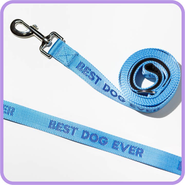 Meilleur chien de tous les temps - Laisse pour chien pour la vente par Pretty Alright Goods