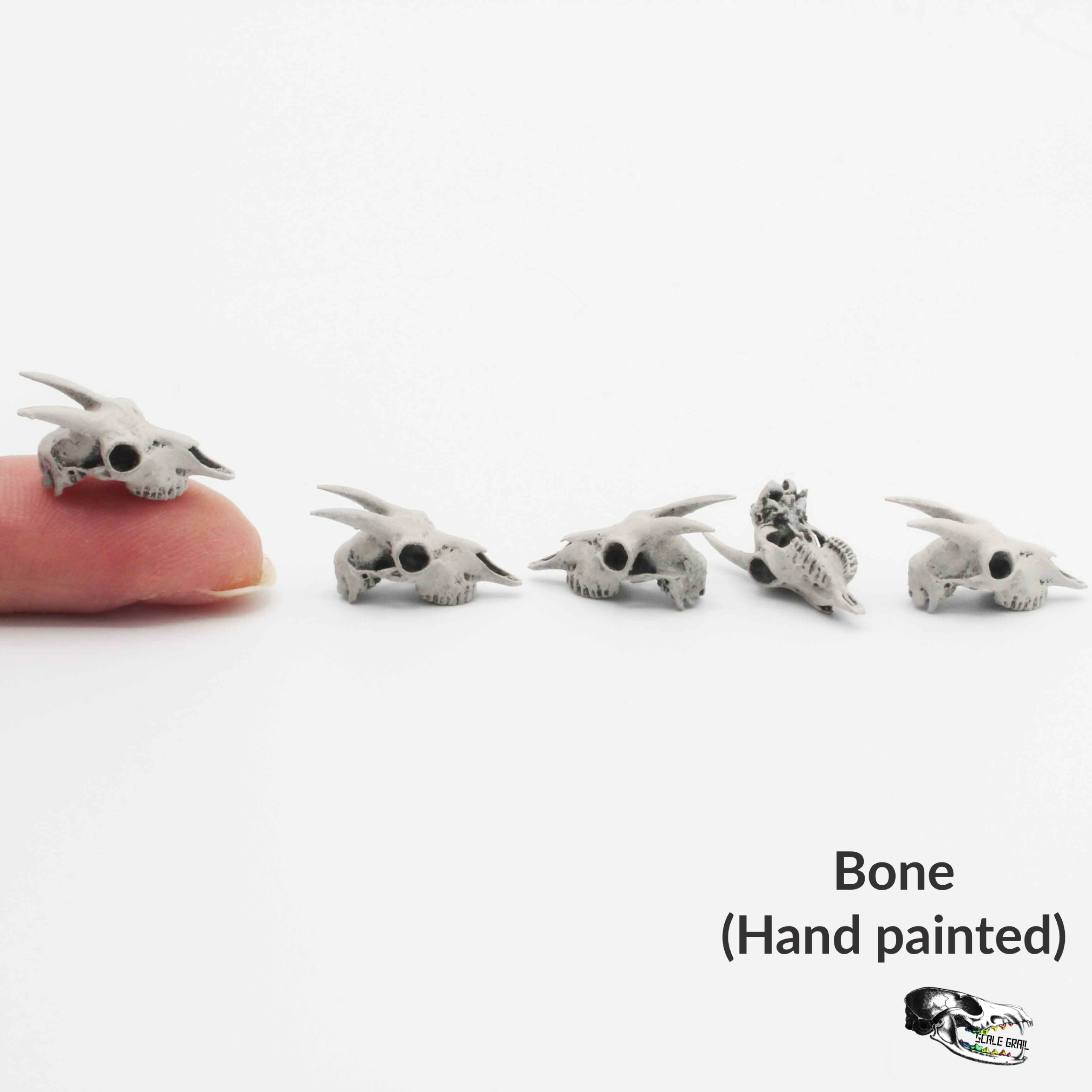 The Scale Grail - Wholesale Craft Supplies - Miniature Goat Skull - 1:12 Scale Dollhouse and Diorama, art and craft supplies (5 skulls)2