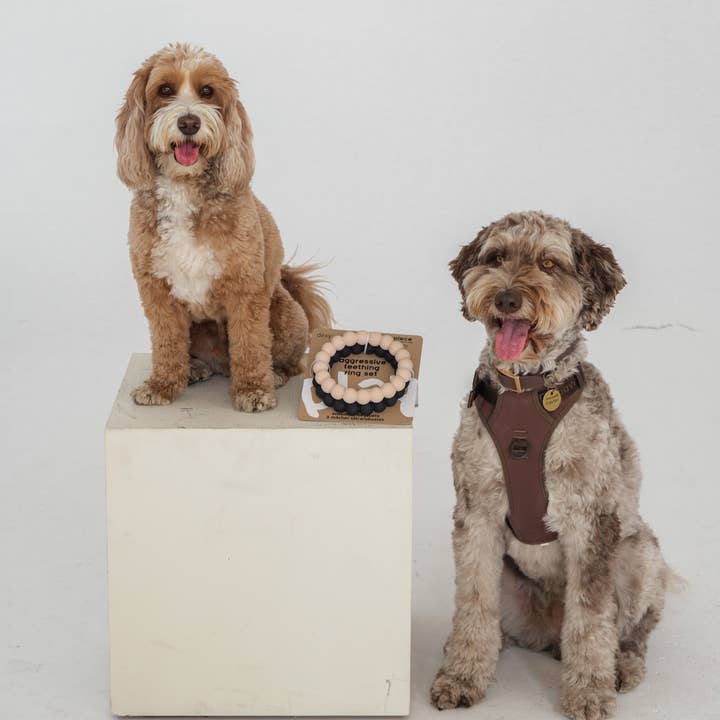 dexypaws - Wholesale Pet Chew Toy - Dog - 2 x Ring Aggressive Chew Toy Set - Nude & Black3