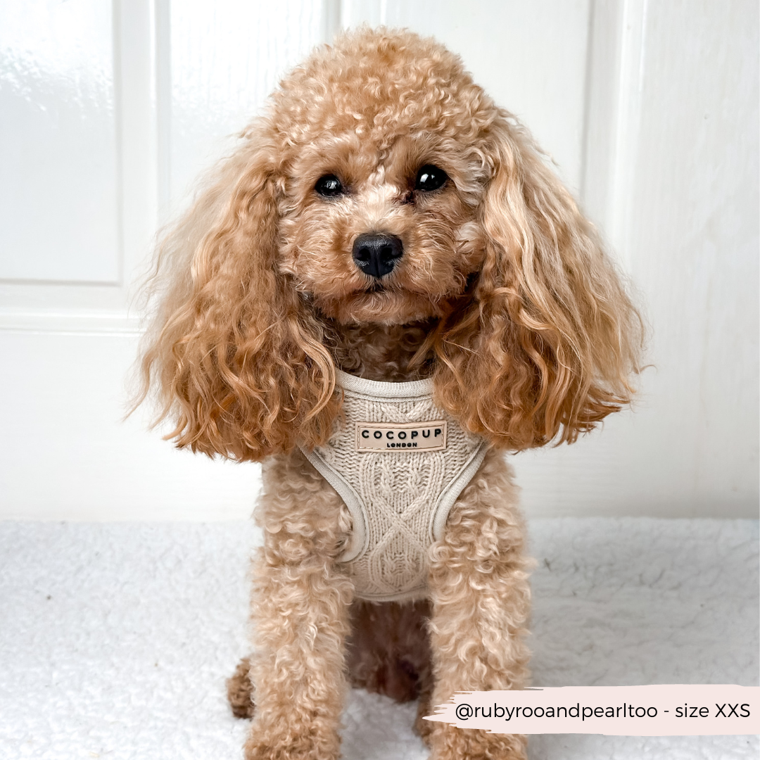 Cocopup London – wholesale Sele - Hund – Kabelstickad tröja Justerbar nacksele - Toffee Pup Latte6