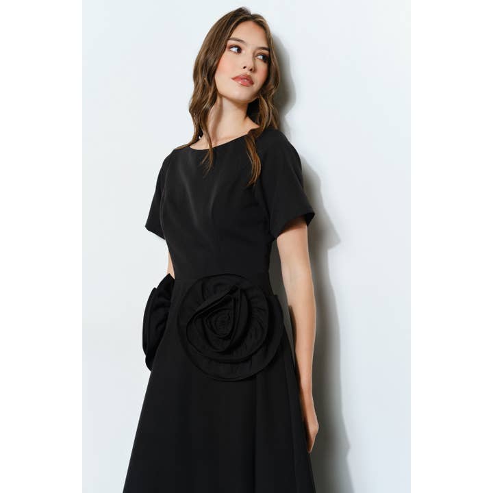 INA - Wholesale Dress - Women's - Elegant Rose Applique A-Line Midi Dress19