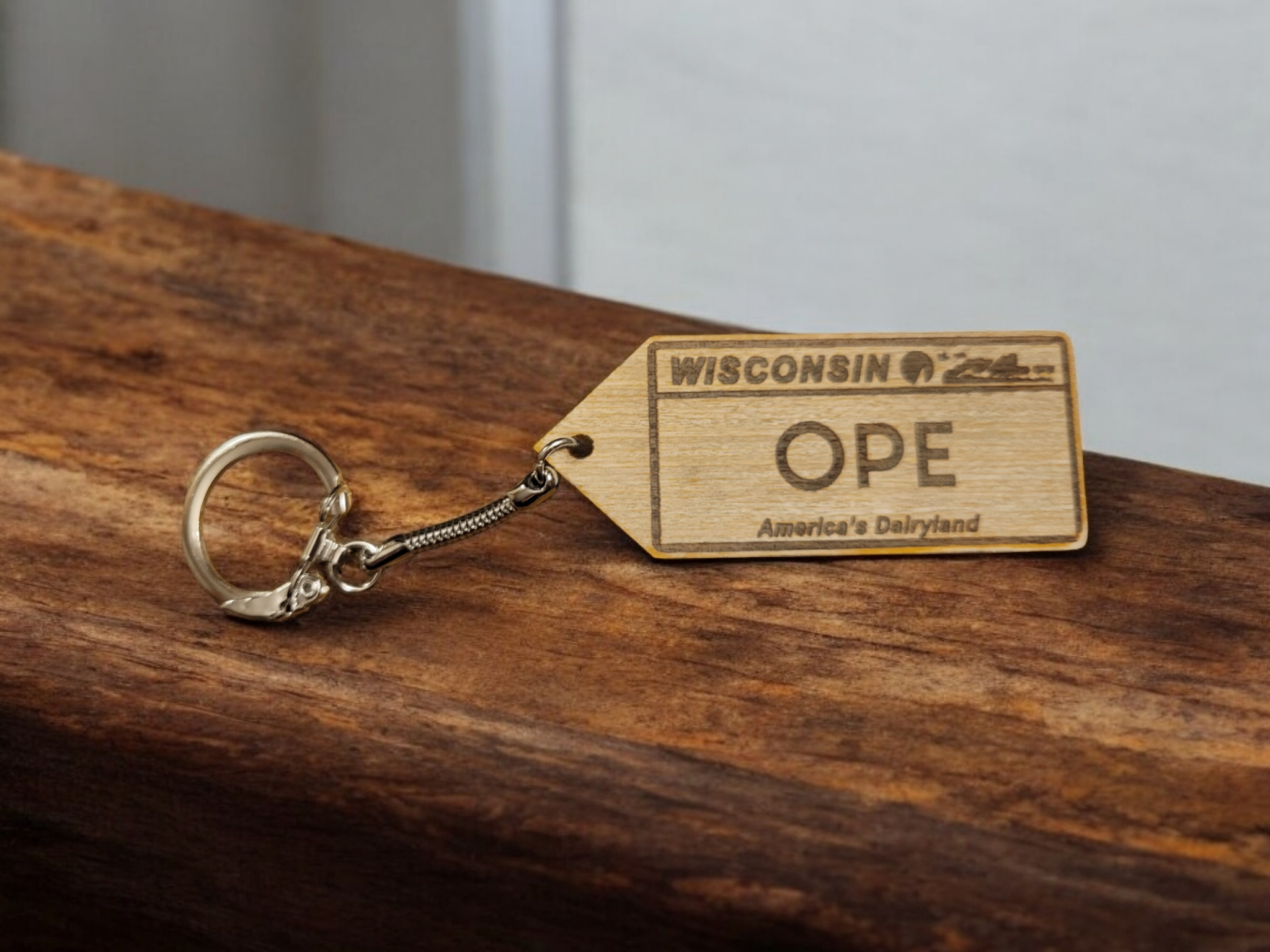 Ellie Joe Design Co - Wholesale Keychain - Unisex - Wisconsin License Plate Keychain3