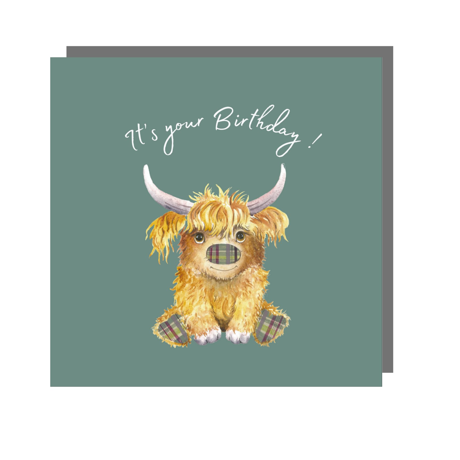 Love Country – wholesale Birthday card – Children's Birthday Cards Bundle - BUMPKIN Collection4