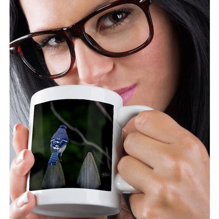 3dRose - Wholesale Coffee Mug - 3dRose, Colorful Bluejay Designed for Nature Lovers, Mug9
