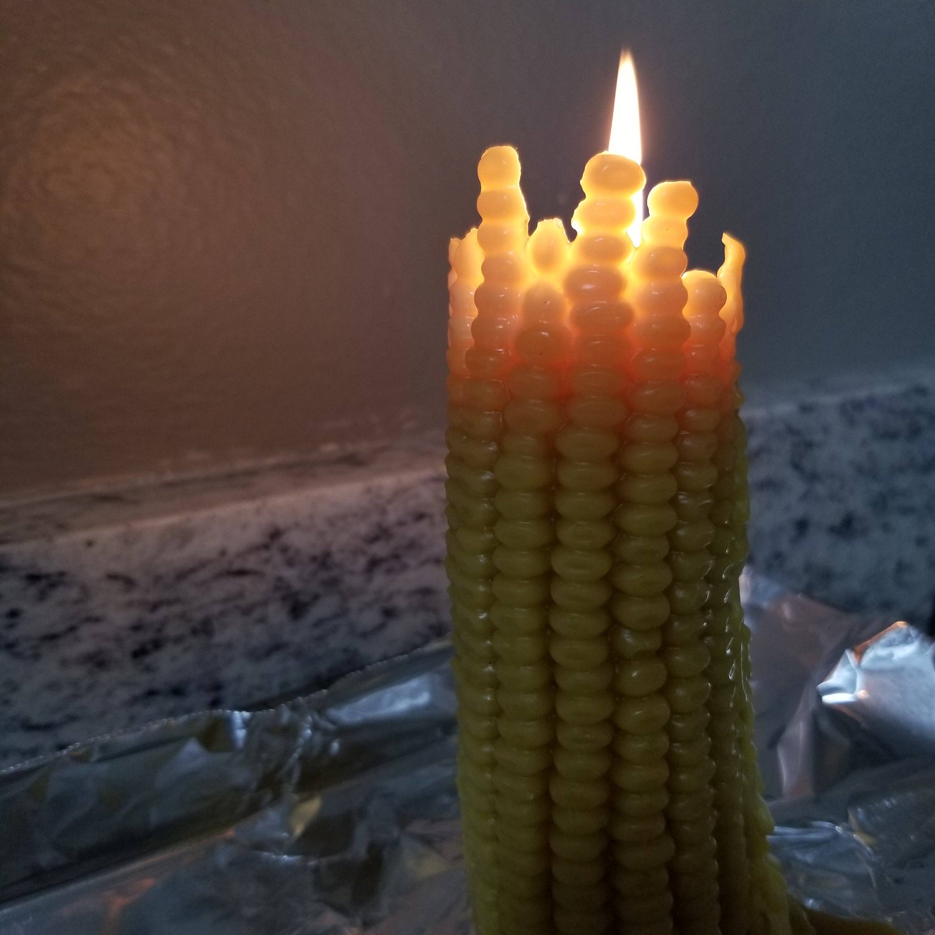 Farm and Hive - Wholesale Novelty Candle - Tall Corn on the Cob | Beeswax Candle1