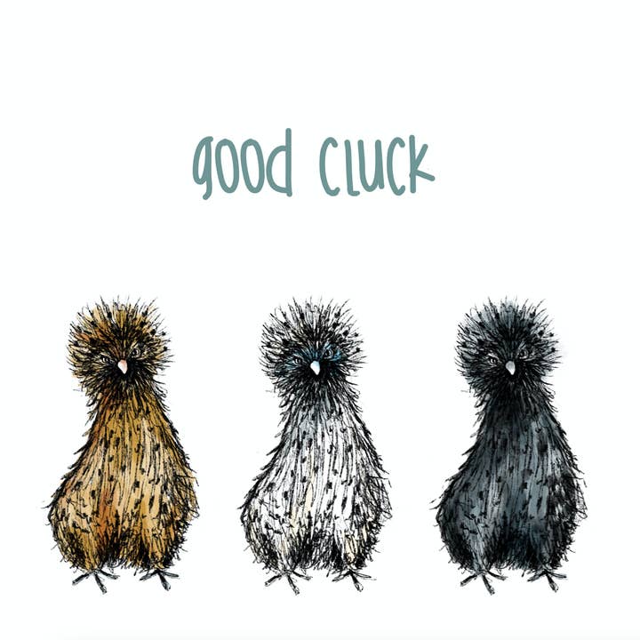 Good Cluck Silkie Chicken Greetings Card for wholesale by Catherine Redgate: Illustrator
