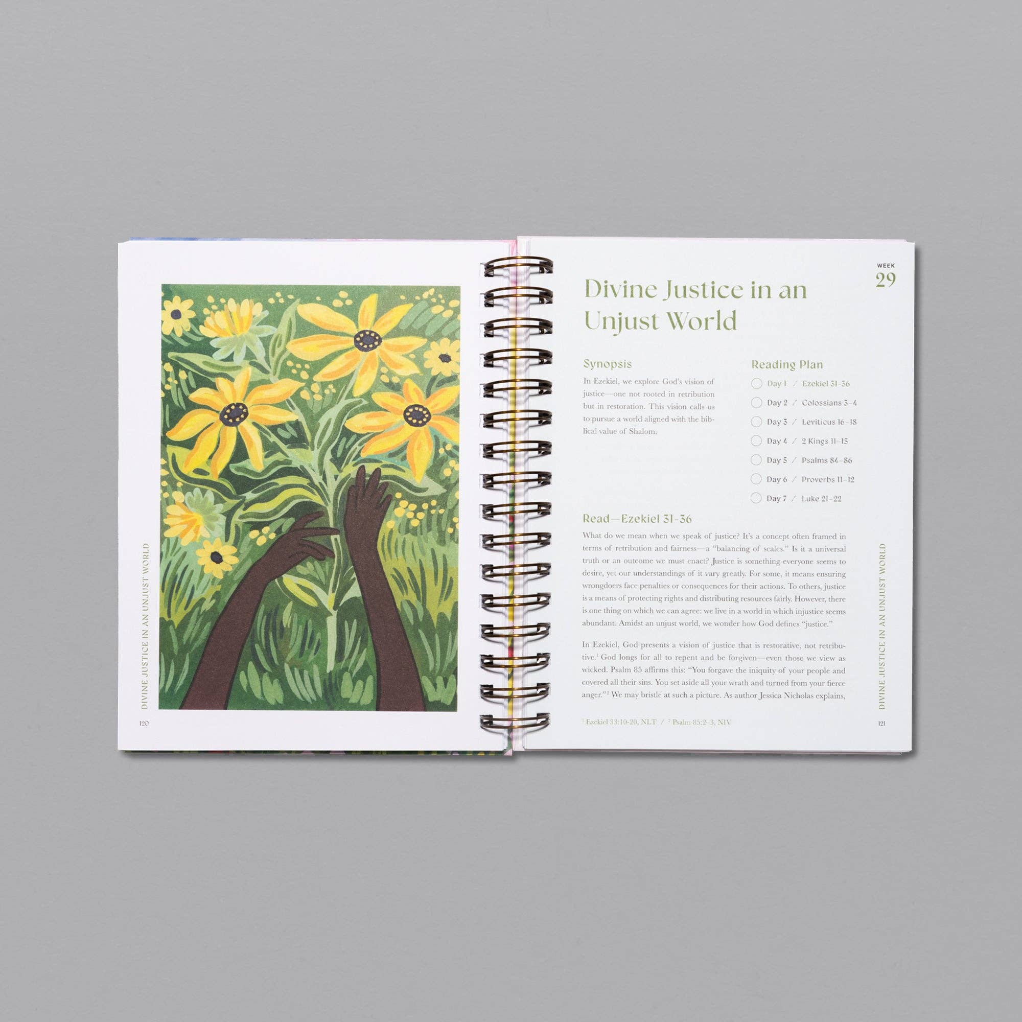 Alabaster Co - Wholesale Religion Book - A Beautiful Year in the Bible: The 52-Week Bible Study for Women11