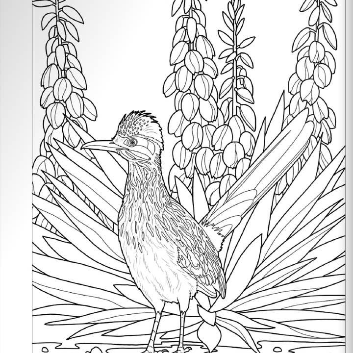 Wellspring - Wholesale Coloring Book - Adult - Coloring Book - Birds at Home