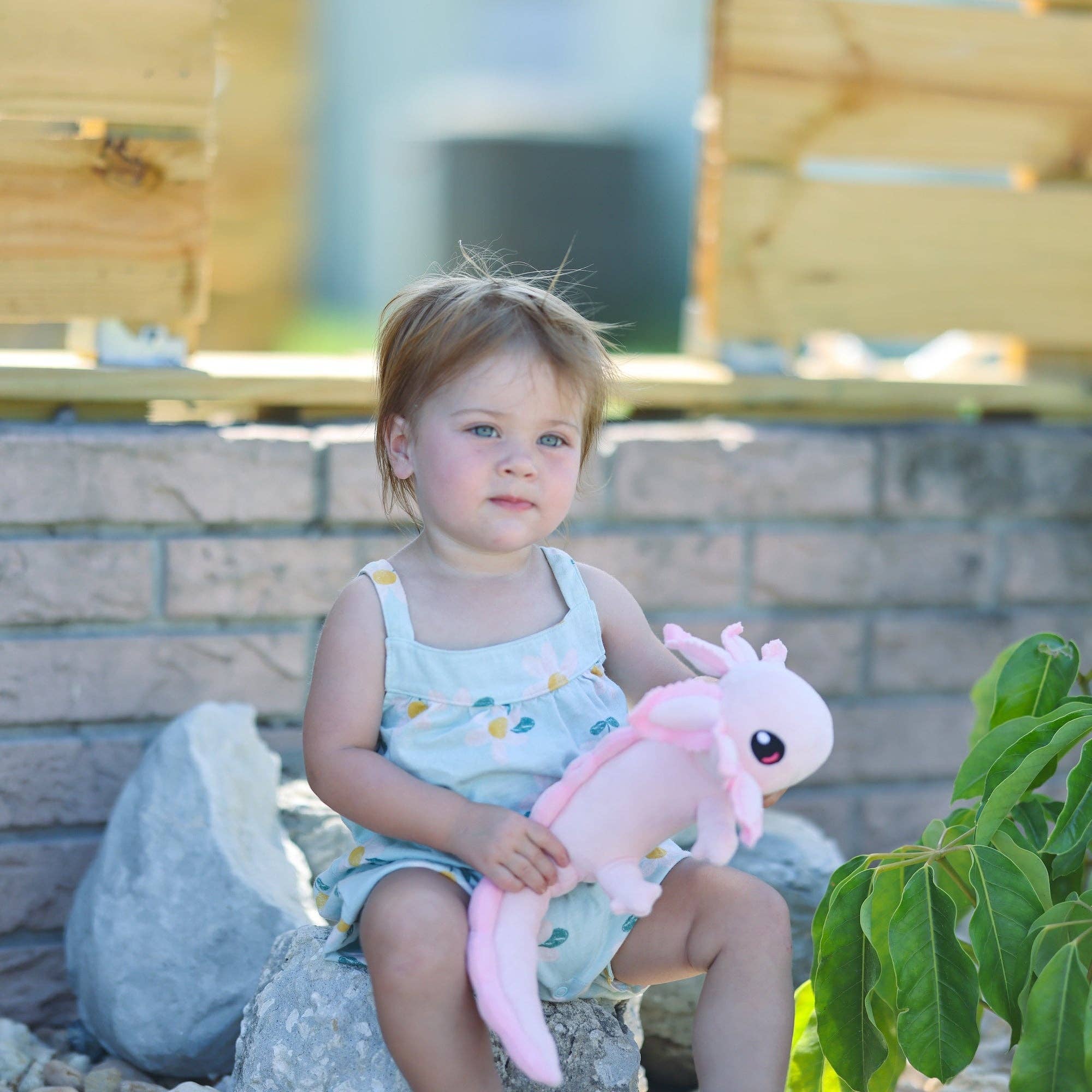 Axol & Friends - Vendita all'ingrosso Peluche - Bambini e neonati - Mini peluche realistico Axolotl11