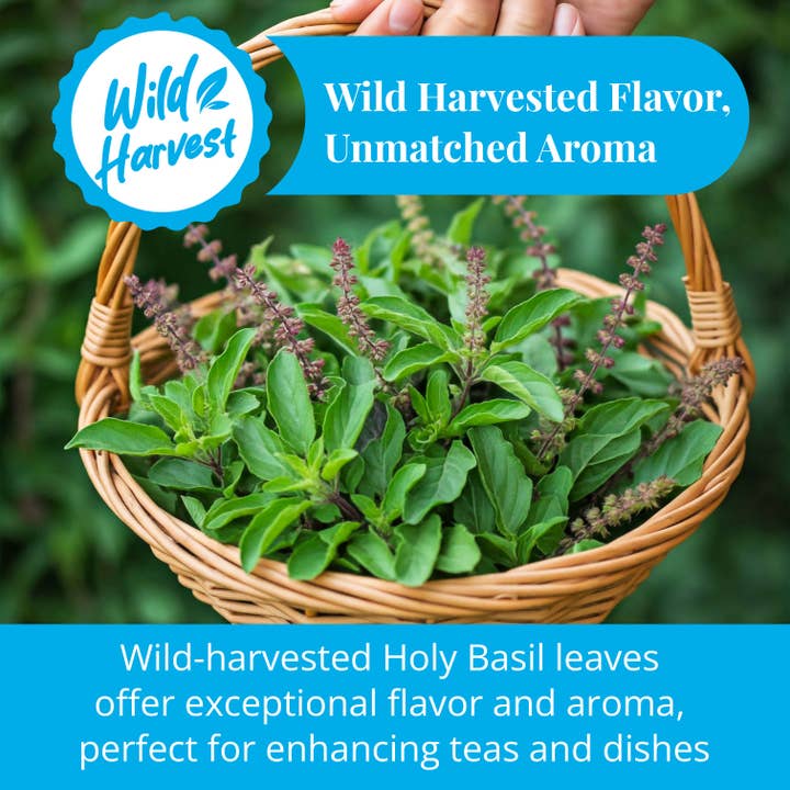 Akshit - Wholesale Loose tea - Dried Tulsi Leaves, Holy Basil Leaves 2.6 oz8