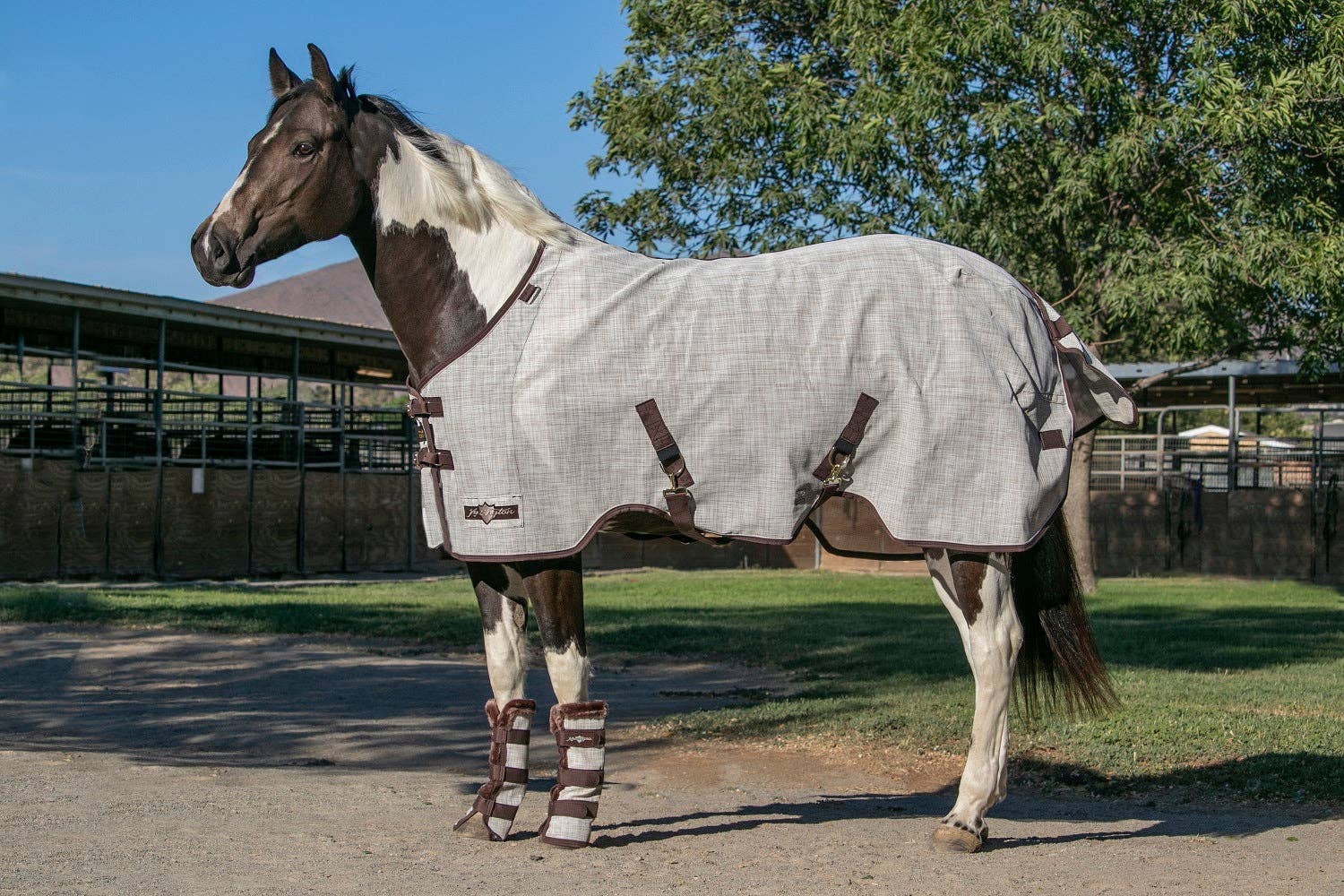 Kensington - Vente Équipement d’équitation - Drap anti-mouches anti-UV à 73 % pour poney, design SureFit® pour un ajustement idéal7