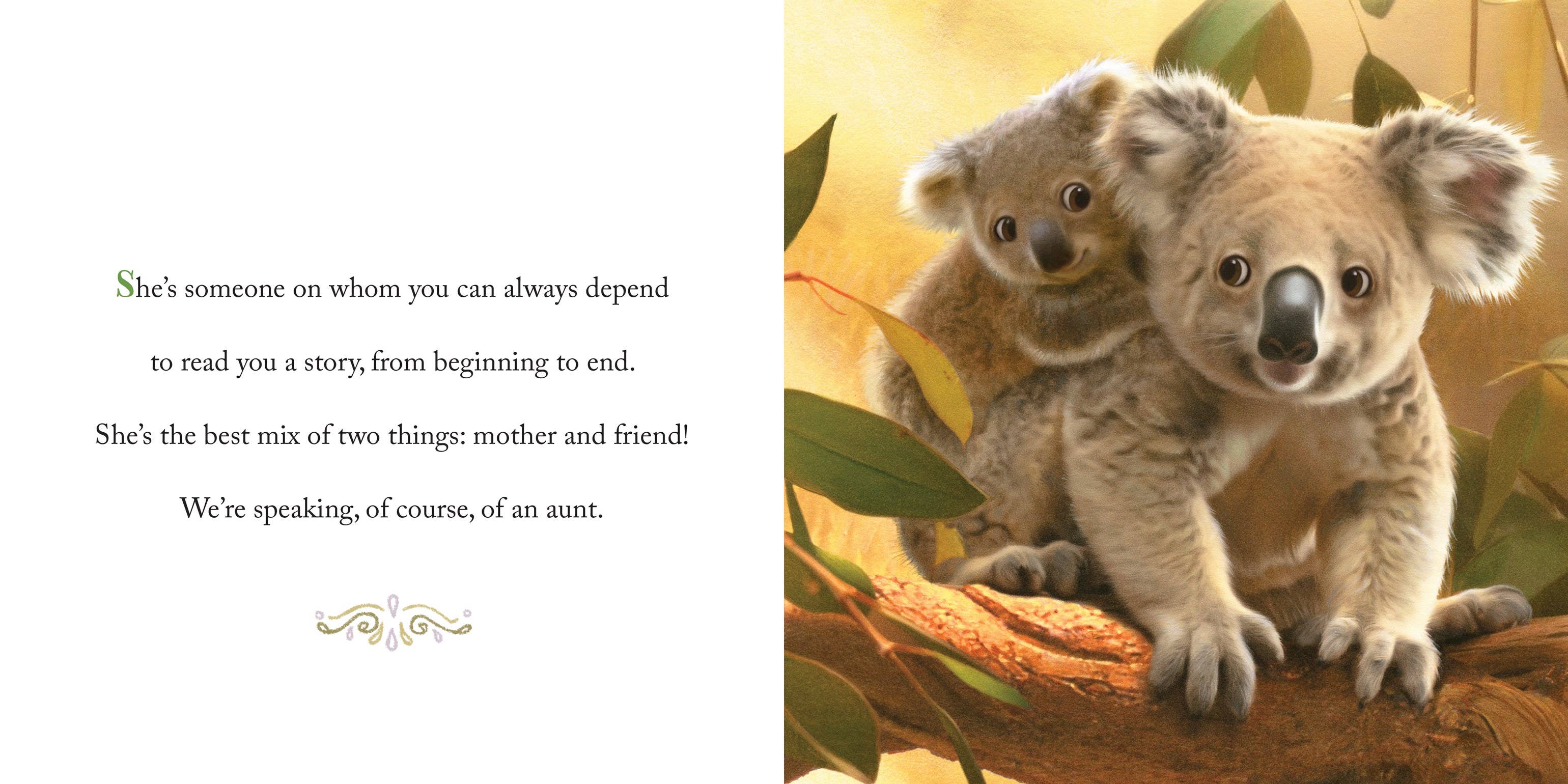 Sourcebooks - Wholesale Preschool Book (3-5) - Why We Need Aunts1