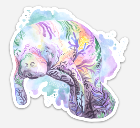 Caloosa WaterWear - Wholesale Sticker - Caloosa Vinyl Sticker 10 Packs16