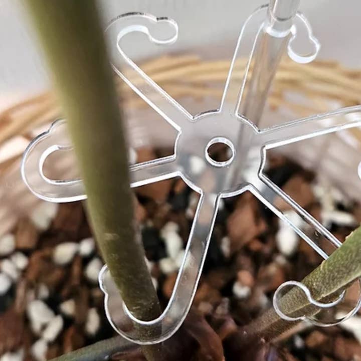 PlantBay - Wholesale Garden Tool - Acrylic Hook & Stem Support Star