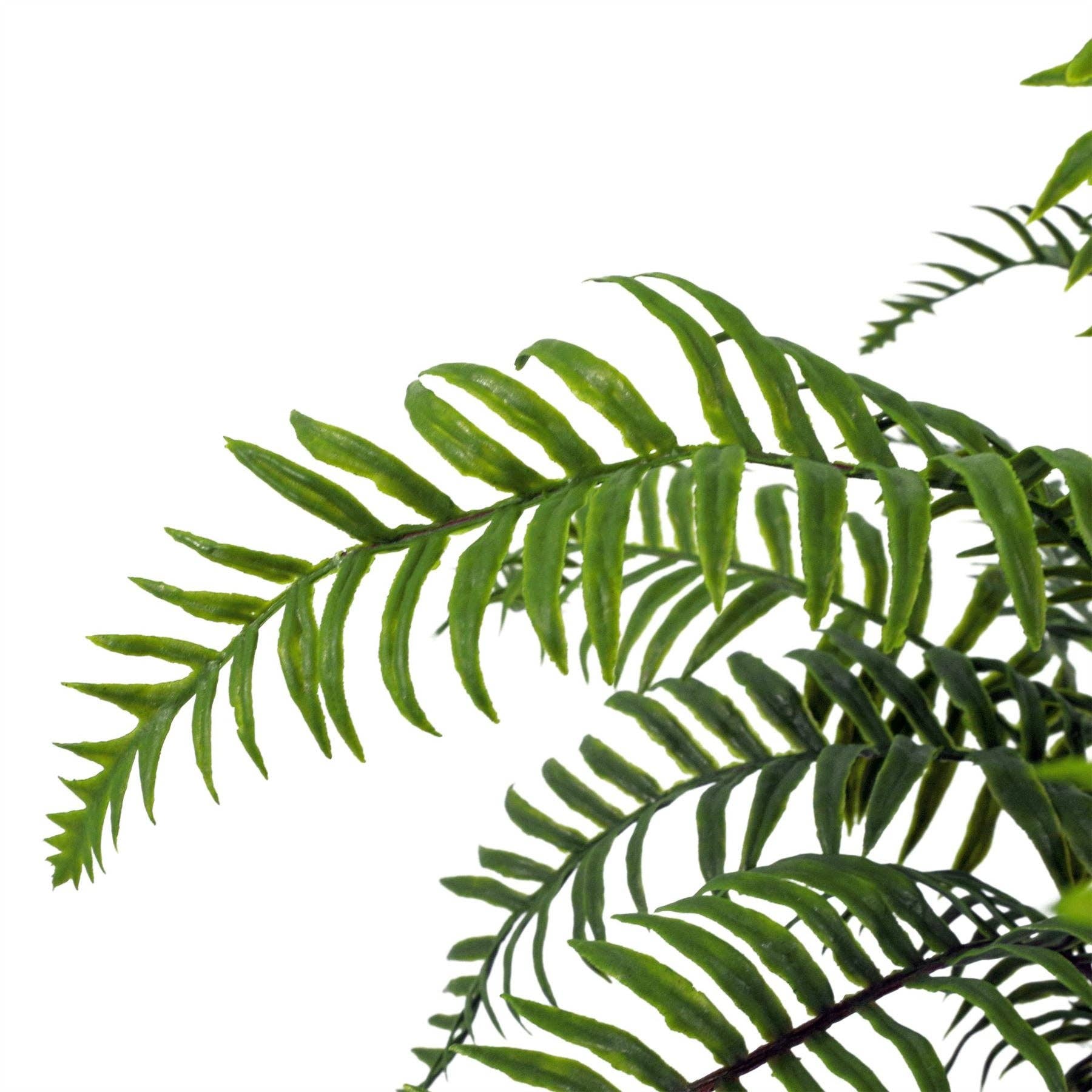 Leaf Design UK LTD – wholesale Artificial plant – Fern Plant Artificial Realistic 50cm Artificial Boston5