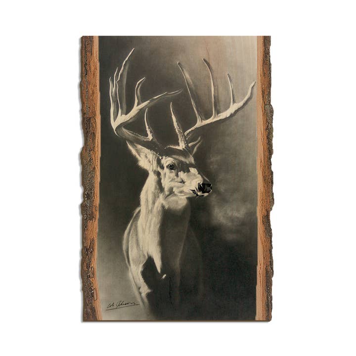 Johnson's Big Hoss - Live Edge for wholesale by DaydreamHQ