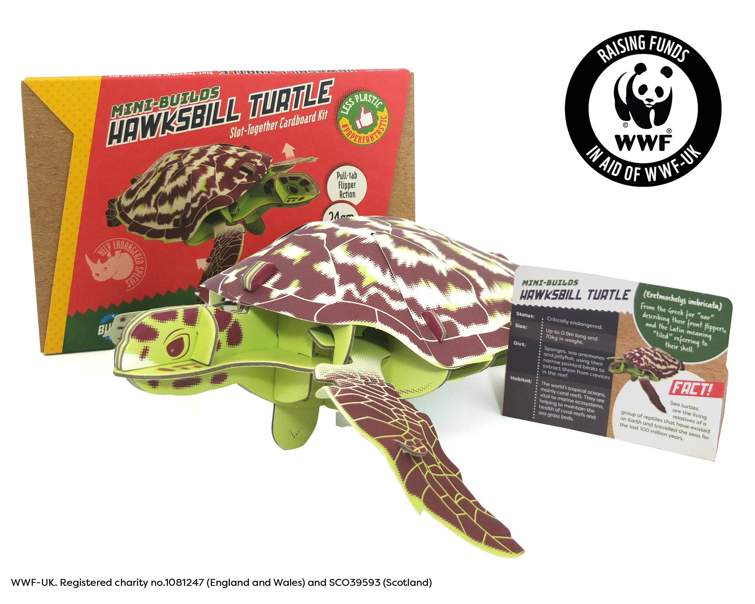Build Your Own - Wholesale DIY Craft Kit - Kids - Build Your Own Hawksbill Turtle - Eco-Friendly Craft Kit5