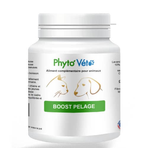 PHYTO VETO – Suplemento de animal de estimação - Gato e cão por atacado – IMPULSIONAR CASACO DE BELEZA1