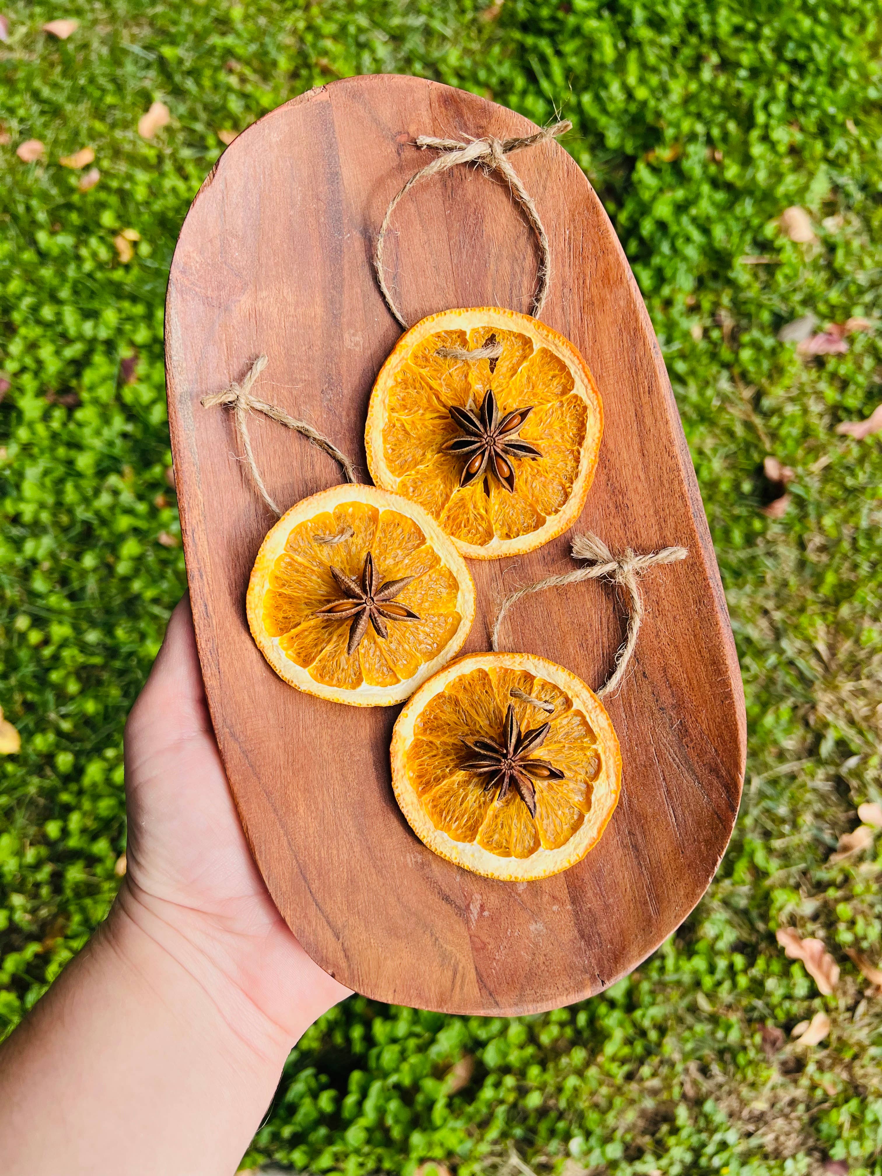 Only Crystals Remain - Wholesale Ornament - Orange & Star Anise Prosperity Star Yule Ornaments