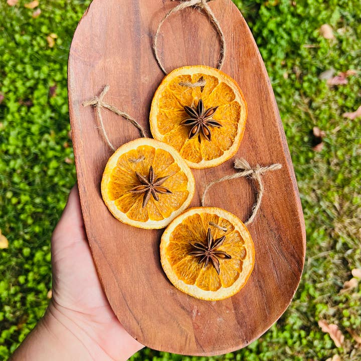 Only Crystals Remain - Wholesale Ornament - Orange & Star Anise Prosperity Star Yule Ornaments0