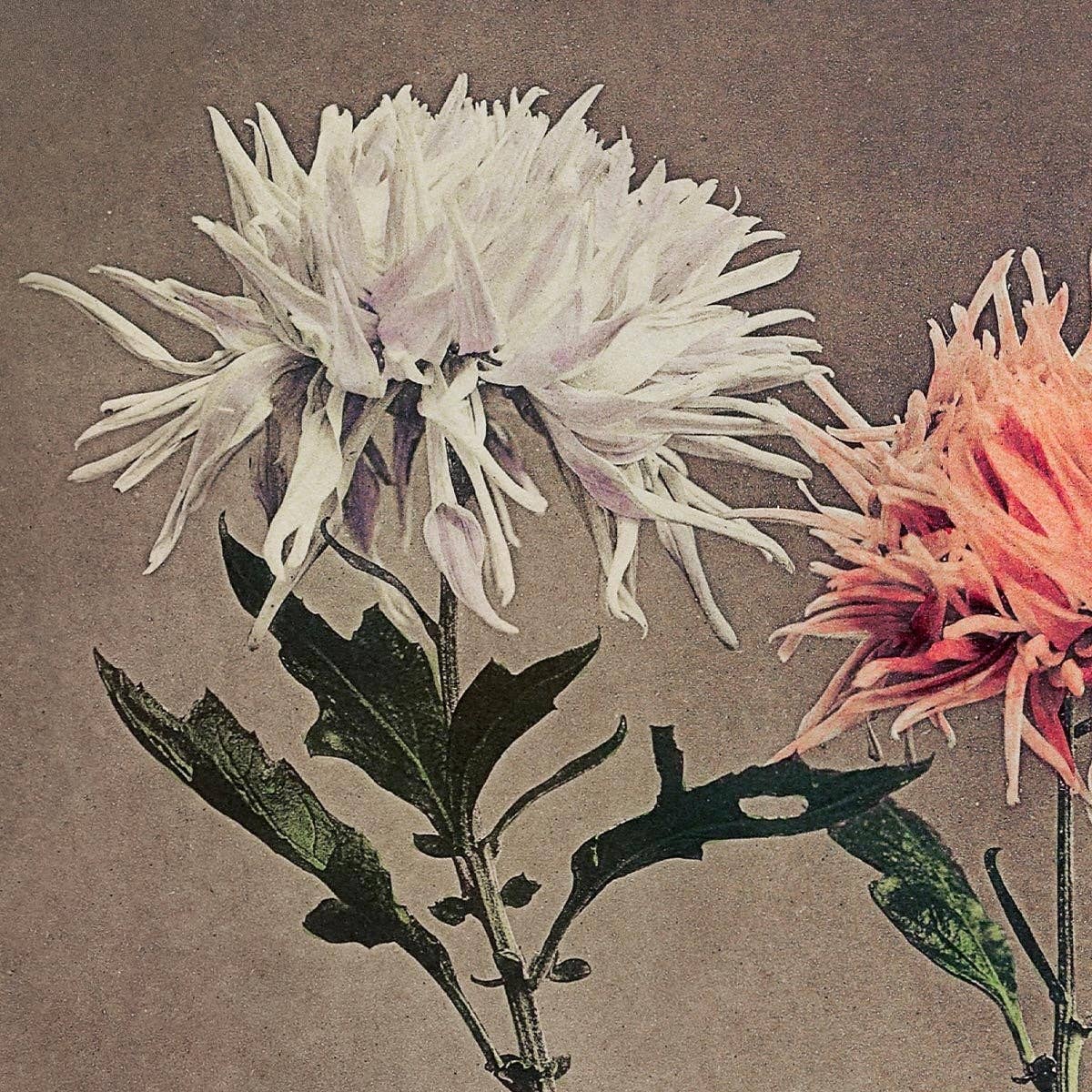 Rock Paper Scissors Wall Art - Venta al por mayor Ilustración - Kin-sui-ro de Ogawa Kazumasa5