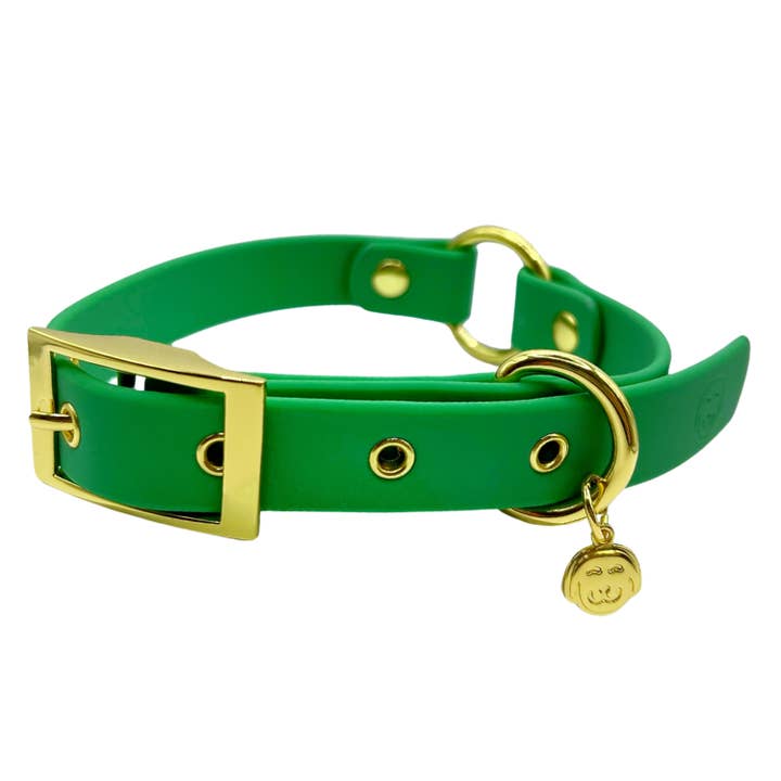 Ivy - Splashproof Dog Collar for wholesale by Molly & Co.