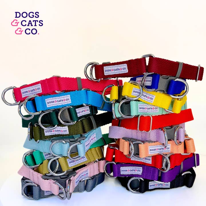 Blueberry Pet - Wholesale Pet collar – Dog - Best-Seller Double D-Ring Dog Collar -Must-Have for All Dogs5