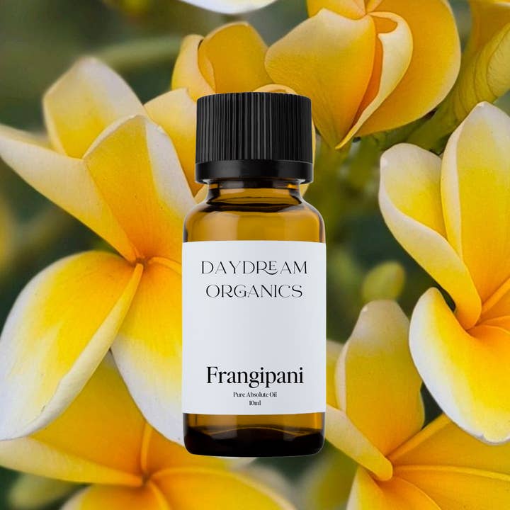 Daydream Organics | Prairie Doctor Brand - Wholesale Essential Oil - Frangipani Absolute Oil