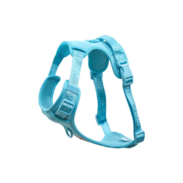 ARISTOPET - Wholesale Pet Harness - Dog - EASY FIT HARNESS1