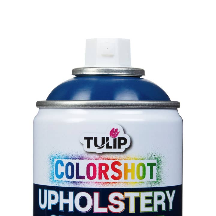 Tulip - Wholesale Paint Set - Tulip ColorShot Outdoor Navy