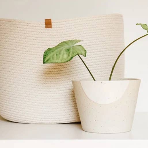 Große ovale Korb für den Großhandel von Woven Handmade