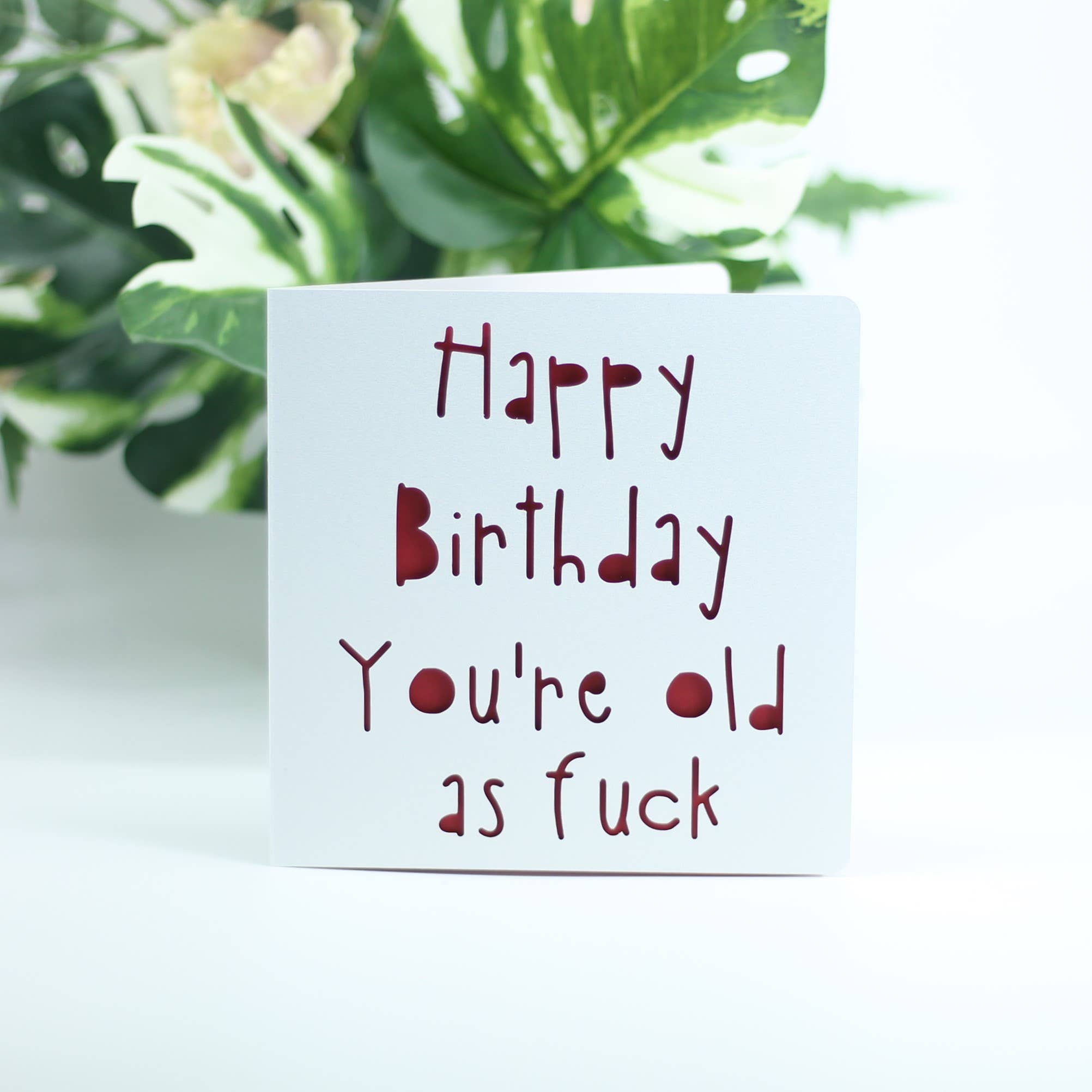 Paradise Papercraft - Vendita all'ingrosso Biglietti di auguri - Buon compleanno, sei vecchio come fottuto6
