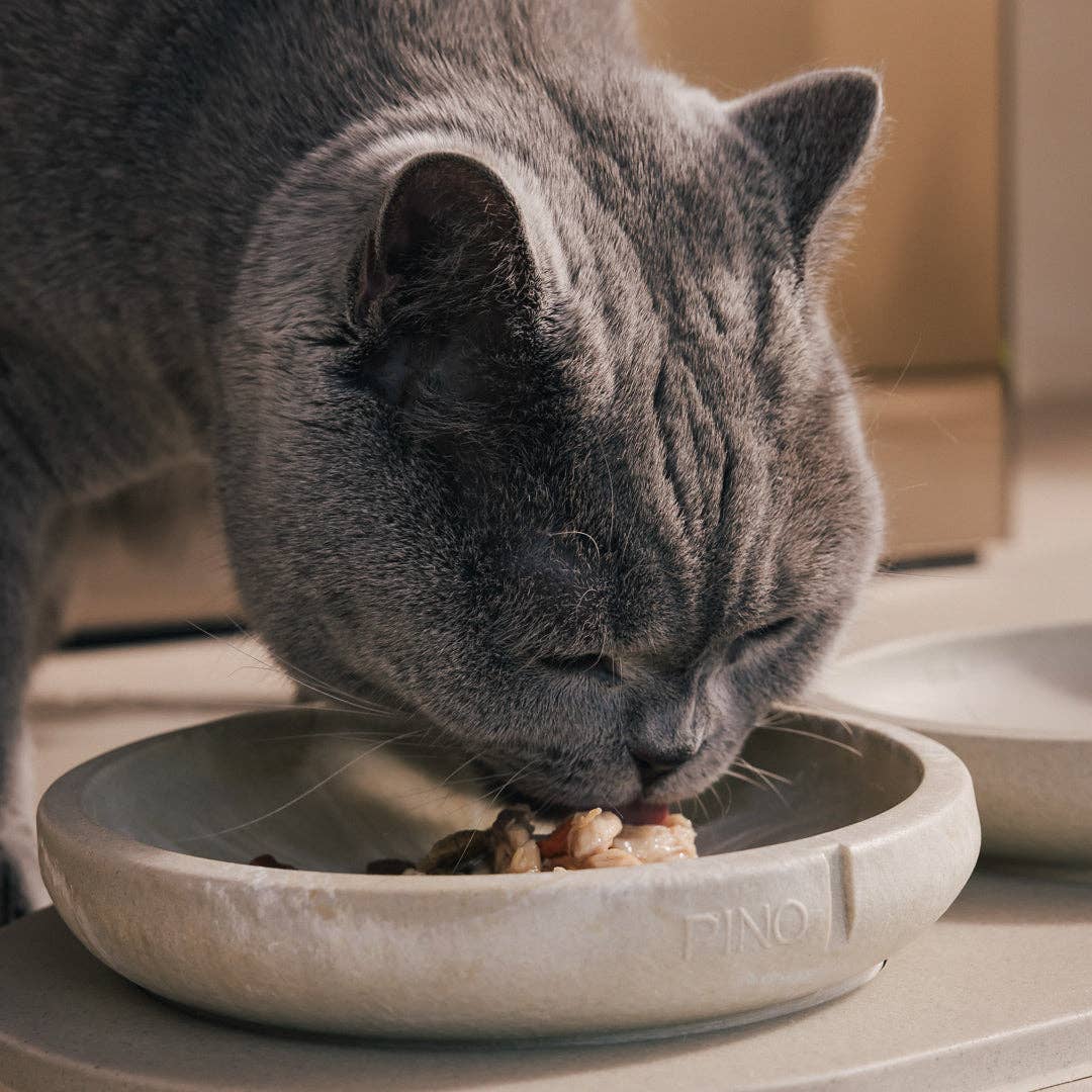 PINO - Wholesale Pet Bowl - Cat - Whisker Friendly Bowl12