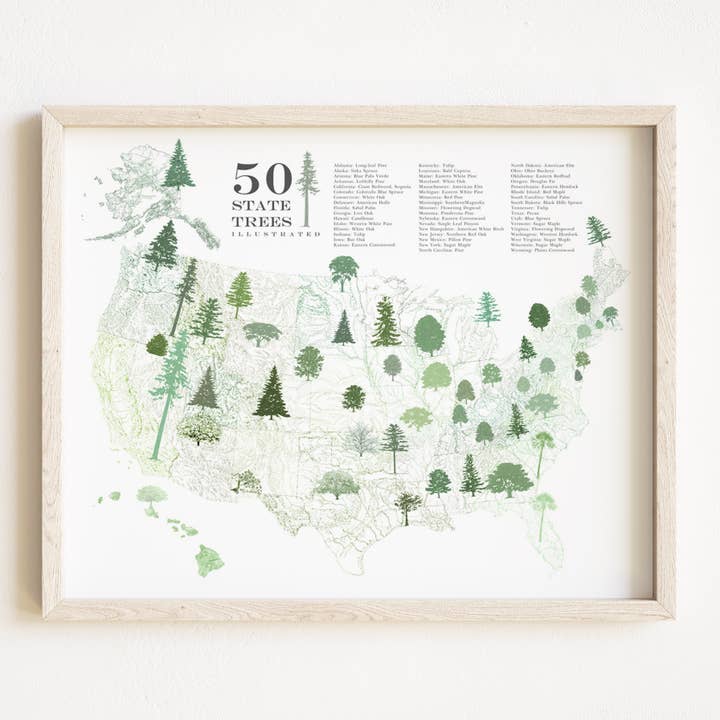 Kaart van de VS 50 State Trees ART PRINT voor wholesale door Turn-of-the-Centuries