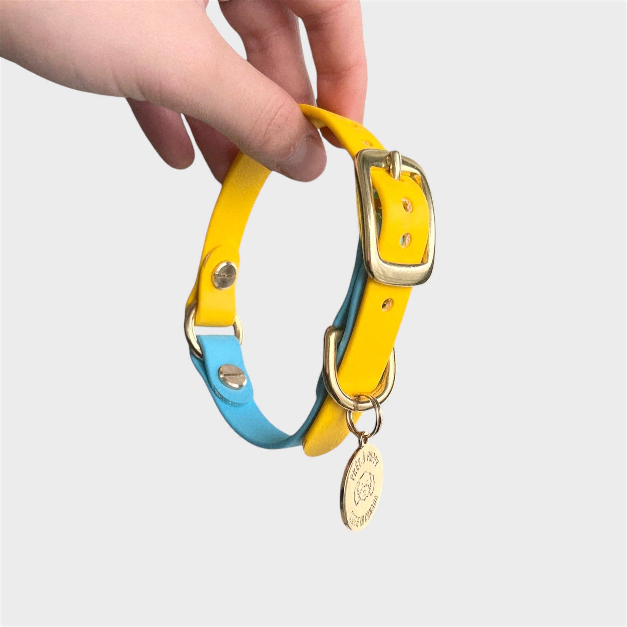 PRÊT-À-PUPPY - Vente Collier – chien - Collier original : créez le vôtre18