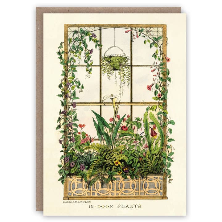 The Pattern Book – wholesale Everyday greeting card – Indoor Plants